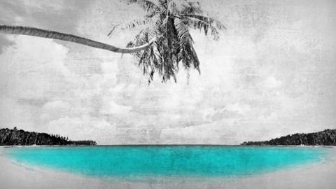 Paradise Papers beach