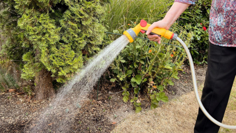 A person holding a hosepipe and watering a garden.