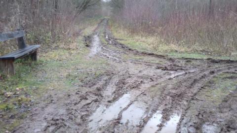 Swampy mud cut up by vehicle tracks in front of a wooden bench in a woodland