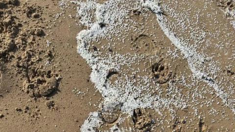 Lots of white tiny plastic pellets are on the surface of a beach. The sand is a brown colour and has a shoe print in it.