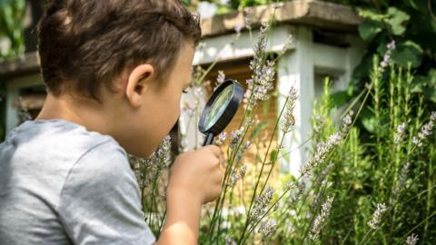 Child looking at plants through a magnifying glass.