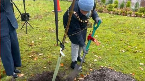 A woman plants a tree sapling