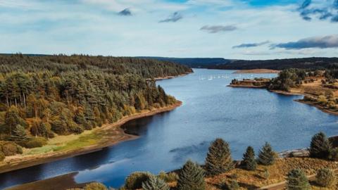 A large lake bordered by trees.
