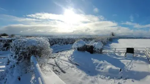 Snow covered fields and hedges with tyre tracks and footprints