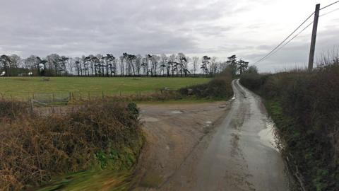 A country road with fields on one side and a hedge on the other. The road is wet 