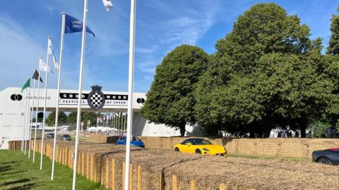 Cars driving on a track. There are flags and trees next to the road.