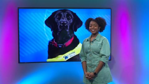 Emma-Louise on the Newsround set