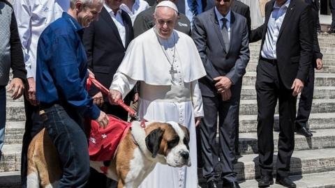 Pope Francis looks at a dog