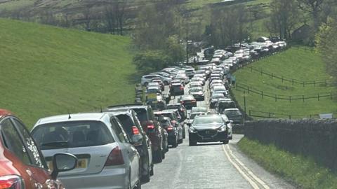 A congested line of parked cars along a road, flanked by greenery