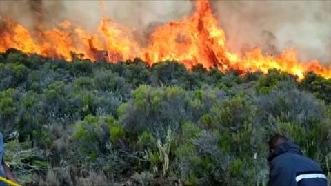 Mount Kilimanjaro fire