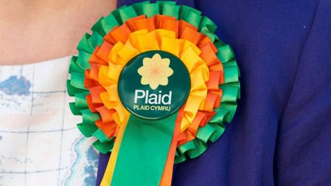 Plaid rosette