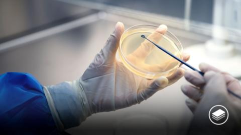 A photograph of a gloved hand holding a petri dish.