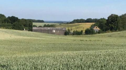 Rolling fields of wheat with a farm in the distance. 