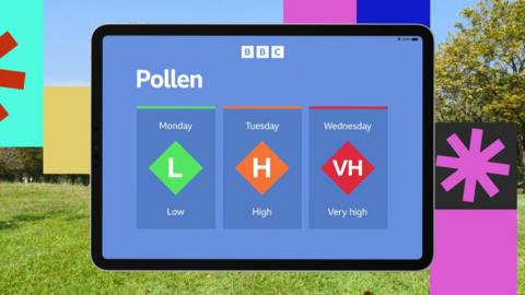 Graphics of pollen count on BBC ipad