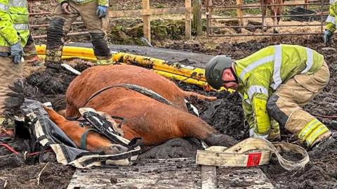 A firefighter in a high-vis uniform crouches beside a horse which is on its side and stuck in the mud. The horse is brown and has its eyes open.