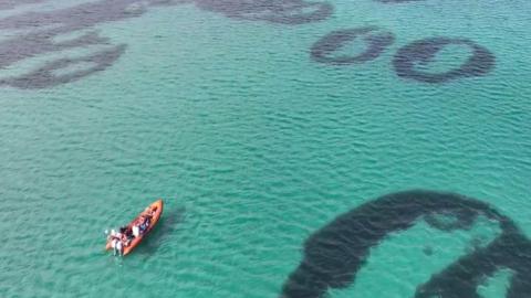 An orange rigid inflatable boat floats on shallow, green hued waters above a seabed with the seagrass circles.