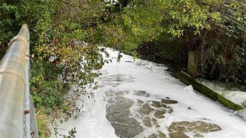 White foam on a river surface. The photo is taken from a bridge and is looking down and along part of the river. Bushes and vegetation line the river, which has a width of just a few metres. 
