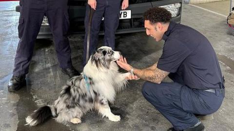Blue the Australian Shepherd with a member of the brigade 
