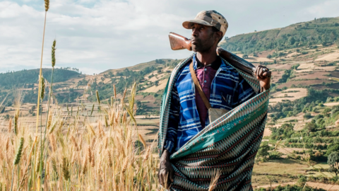 A farmer and militia fighter in north-west of Gondar, Ethiopia, on 8 November 2020