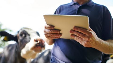 Farmer using iPad