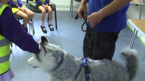 A school pupil wearing a yellow high-vis jacket strokes a large toy dog. Four other children also wearing high-vis jackets are sat on chairs. A man in a blue shirt is stood next to the toy dog.