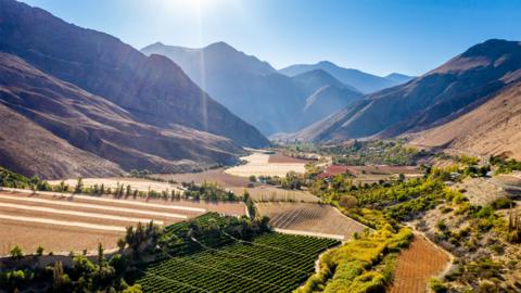 A sunny mountainous landscape in Chile.