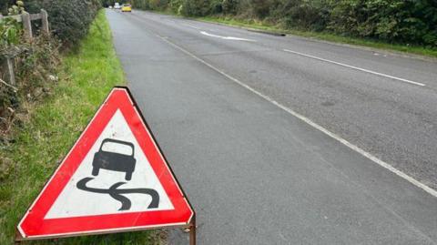 A road with a grass verge on either side. There is a road sign in the lower left of the image, a red triangular sign showing it is a slippy road. 