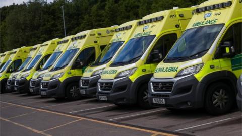 A line of ambulances