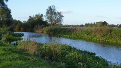 A thin stretch of the River Cam with calm water reflects the pale blue sky above. On either side of the river are green banks with reeds, shrubs and the occasional tree in the distance. 