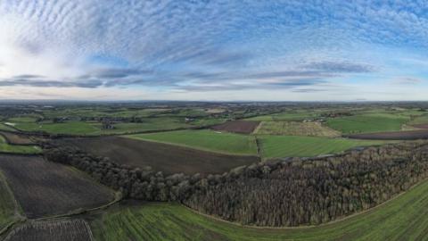 Aerial view of woods and fields