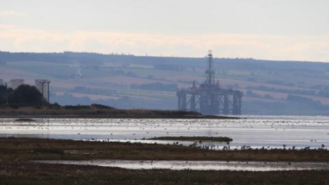 Cromarty Firth rig