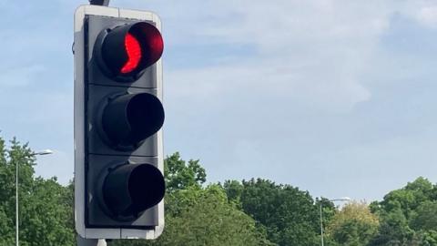 Traffic lights with a red light and trees behind.