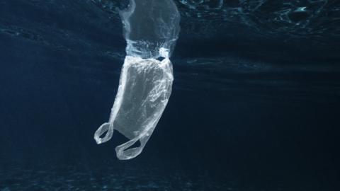 Plastic bag