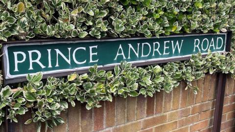 The picture is of a green road sign with white lettering that reads "PRINCE ANDREW ROAD". A hedge is growing around the sign but not covering it. A brick wall is visible below the sign. 