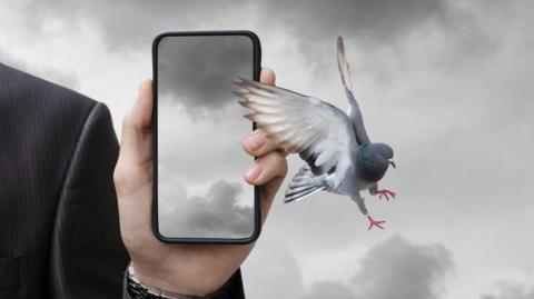 A stylised image of a mobile phone and a pigeon flying from the screen. The phone is being held by a man wearing a dark suit with a silver wrist watch. The background is a cloudy sky.