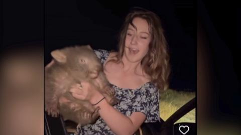 Woman wearing a summer dress, outside her car holding wombat in the dark