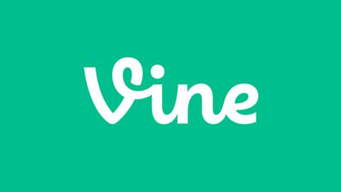 Vine logo