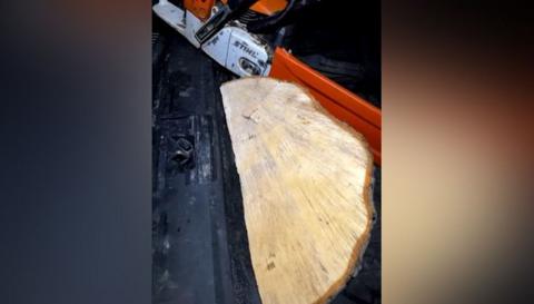 A large wedge of wood next to a chainsaw, which has a silver body and red blade cover