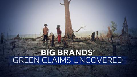 Big Brands Green Claims Uncovered