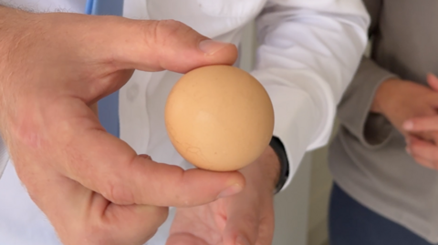 A man holds a spherical egg between his thumb and index finger. Another person stands nearby with their hands in front of their stomach and fingers interlinked. 
