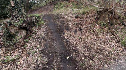A man-made bike track in the middle of the woods