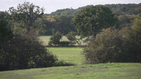 A field with lots of green grass and green trees in Crews Hill, in the London borough of Enfield, where a government new town has been proposed