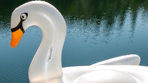 Inflatable swan