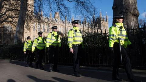 Police stand outside Parliament