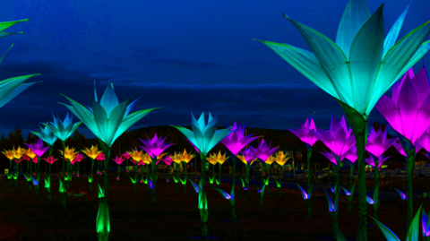 A field of colourful light displays in the shape of flowers. They are lit up in a mix of greens, blues and yellows. They are standing on tall green stalks. It is night and they are brightly lit in the darkness.