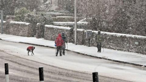 group of walkers and a dog walking on a road that is starting to get covered in snow. Snowing is falling heavily
