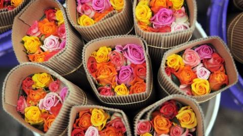 Bunches of roses recently picked at a flower farm in Kenya