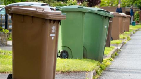 A line of brown and green household bins sit on a grassy kerb waiting to be collected.