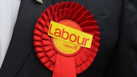 Labour rosette