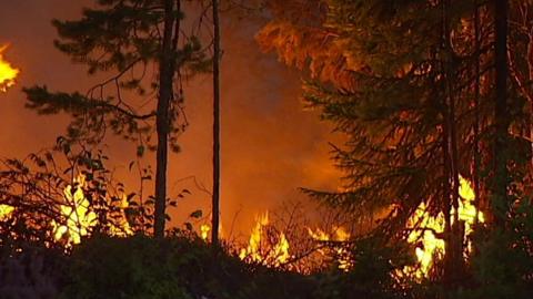 Wildfire in Sweden, 16 Jul 18